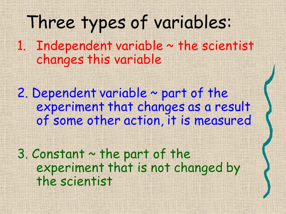 Every experiment has variables.