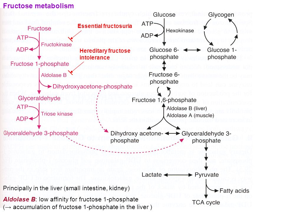 hereditary fructose intolerance