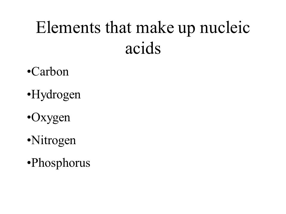 elements of nucleic acids