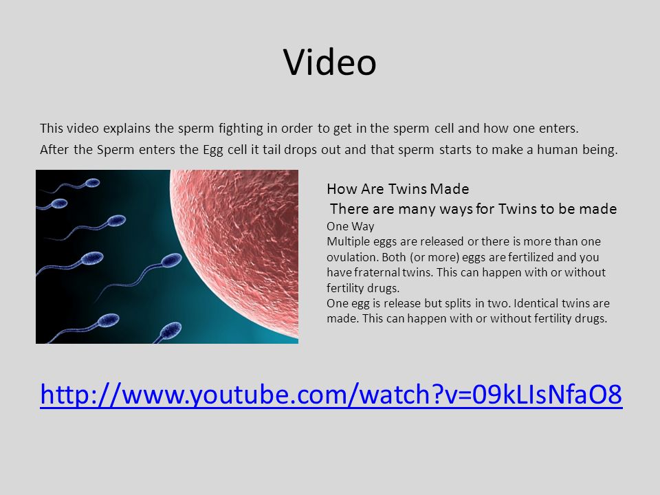 Sperm cell fighting Bdsm medical toys