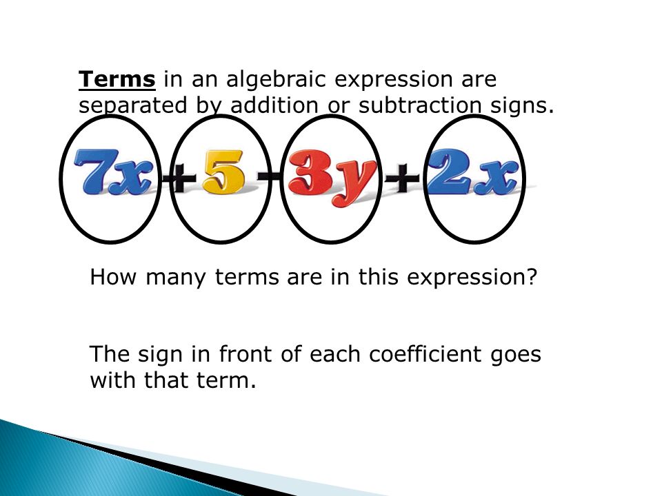 Terms in an algebraic expression are separated by addition or subtraction signs.