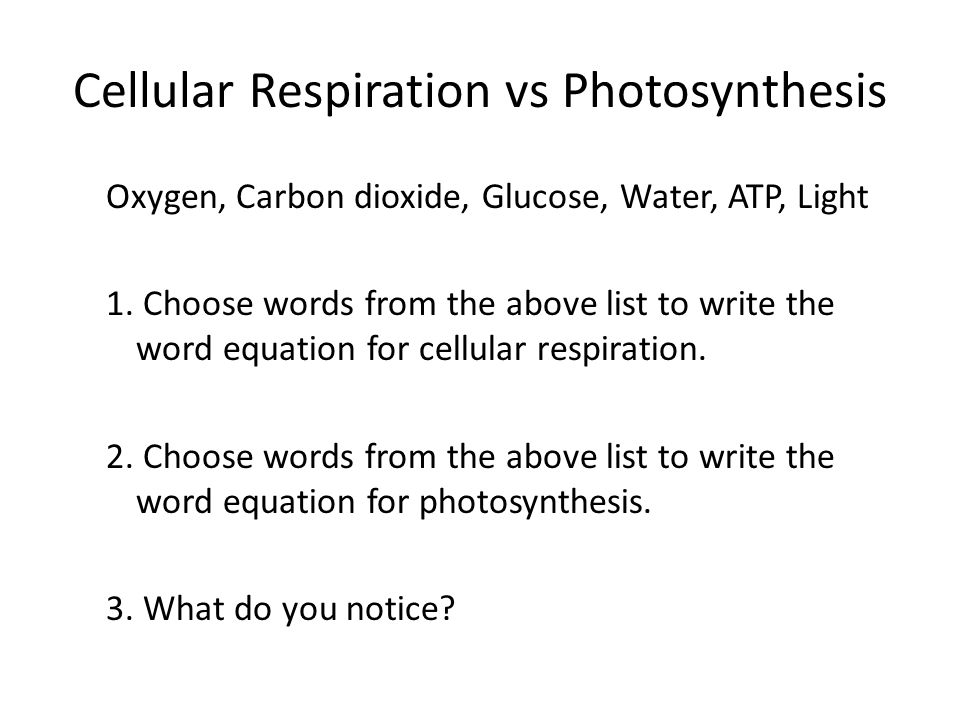 Photosynthesis Photo Synthesis Works Cellular Respiration Vs Photosynthesis Oxygen Carbon Dioxide Glucose Water Atp Light