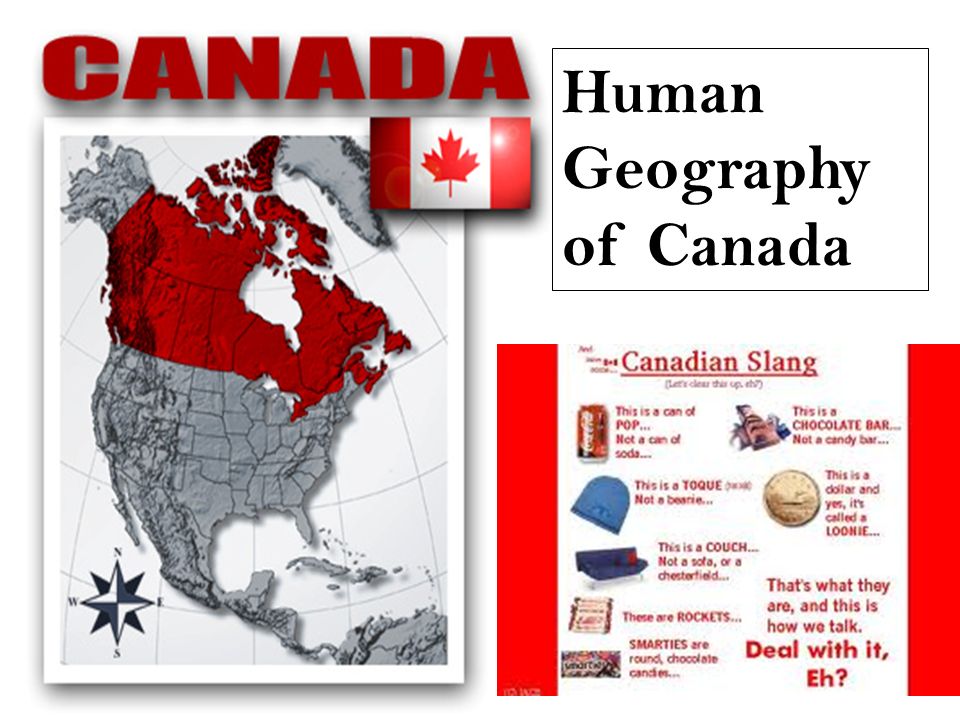 canadian essay Isbn: 9781926639949 price: $2195 featuring trusted series editor christopher doda and acclaimed guest editor david layton, this seventh installment of canada's annual volume of essays showcases diverse nonfiction writing from across the country. canadian essay Isbn: 9781926639949 price: $2195 featuring trusted series editor christopher doda and acclaimed guest editor david layton, this seventh installment of canada's annual volume of essays showcases diverse nonfiction writing from across the country.