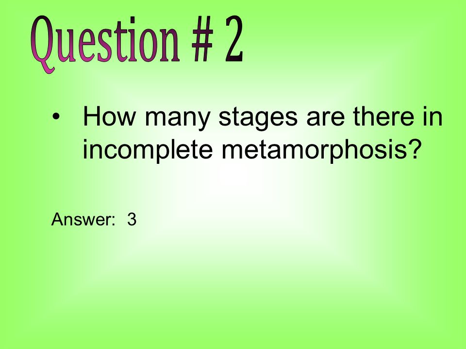 How many stages are there in incomplete metamorphosis Answer: 3