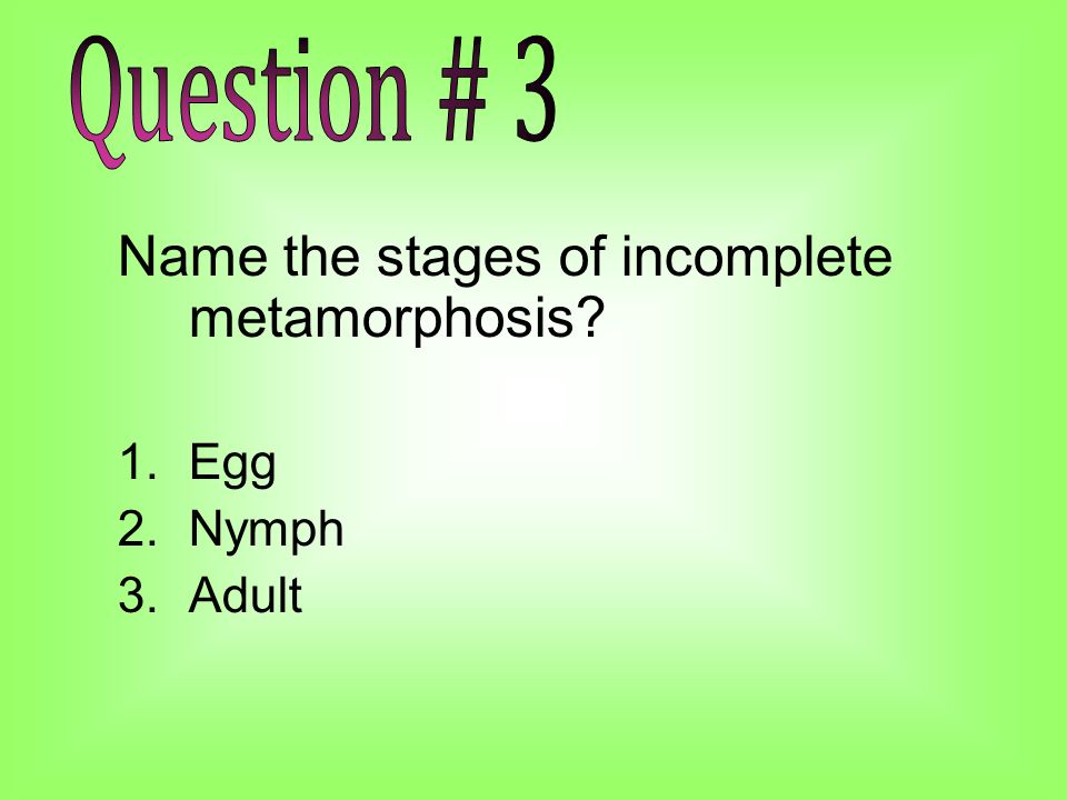 Name the stages of incomplete metamorphosis 1.Egg 2.Nymph 3.Adult