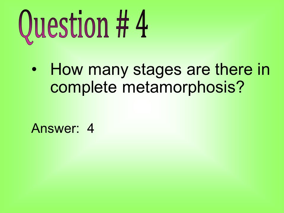 How many stages are there in complete metamorphosis Answer: 4