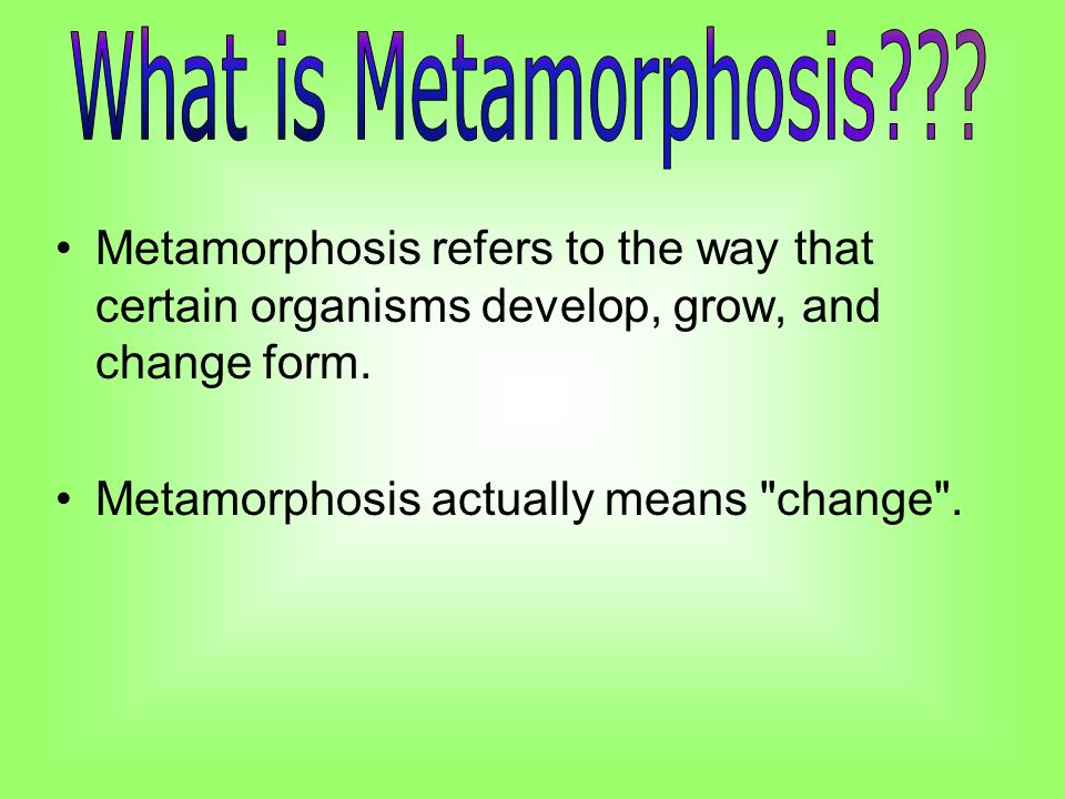 Metamorphosis refers to the way that certain organisms develop, grow, and change form.