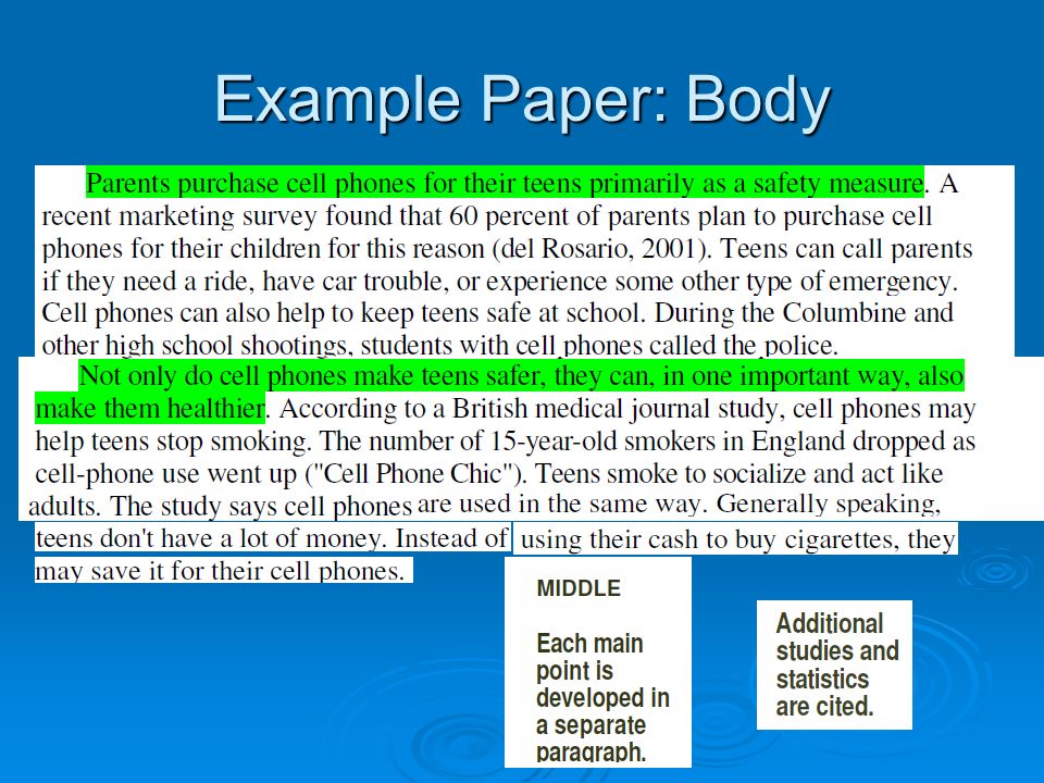 Example Paper: Body
