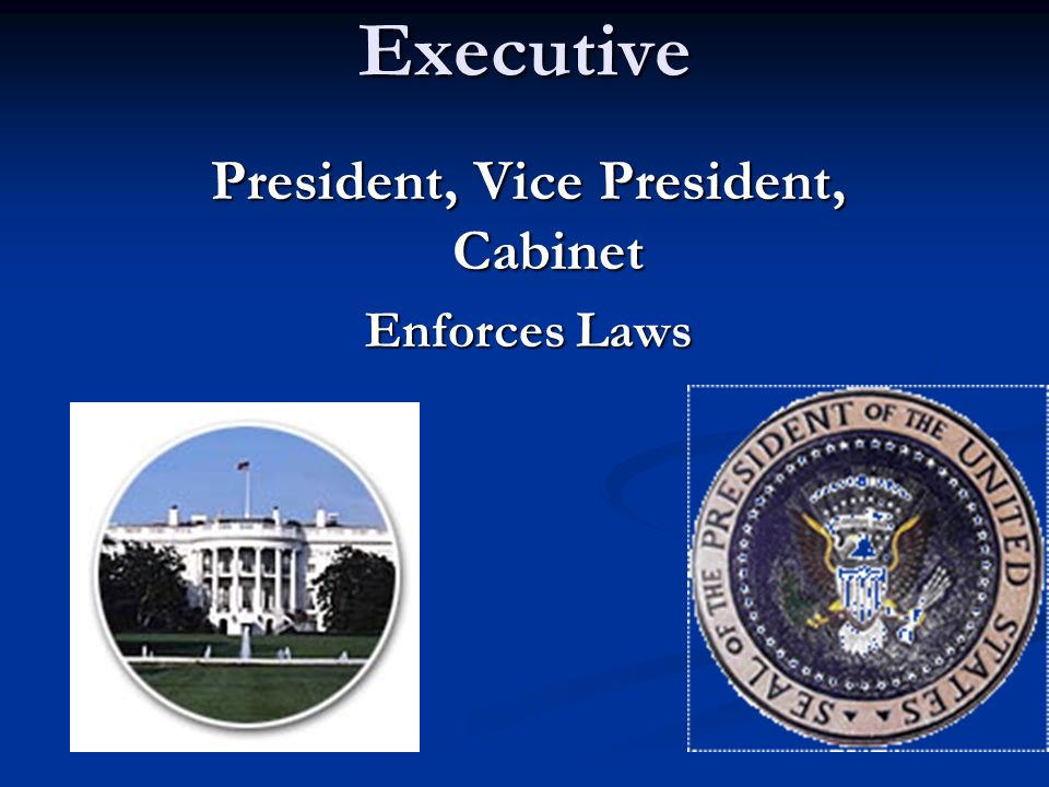 Executive President, Vice President, Cabinet Enforces Laws