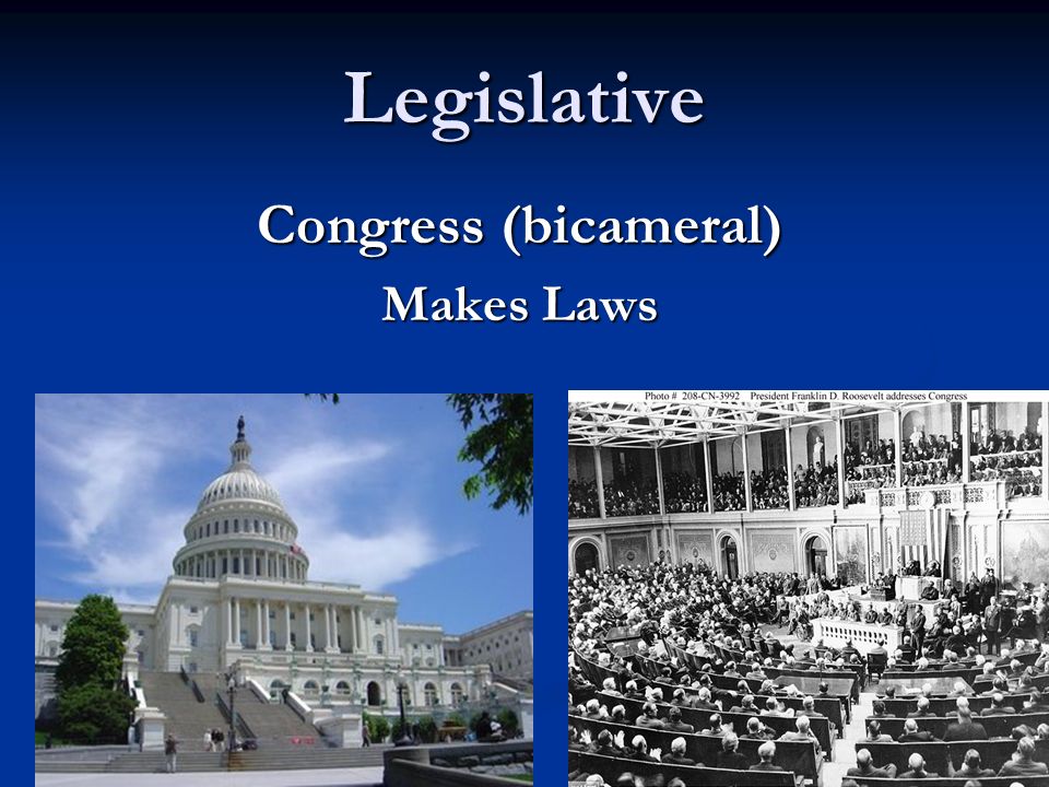 Legislative Congress (bicameral) Makes Laws