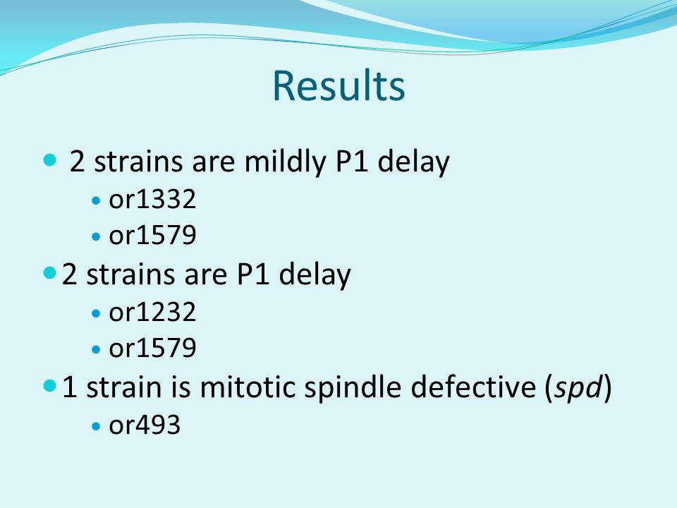 Results 2 strains are mildly P1 delay or1332 or strains are P1 delay or1232 or strain is mitotic spindle defective (spd) or493