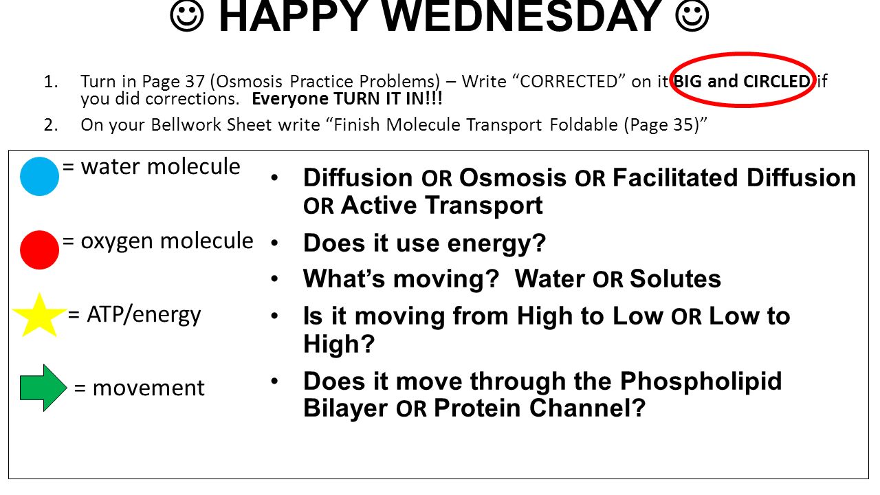 Happy Wednesday 1 Turn In Page 37 Osmosis Practice Problems Turn In Page 37 Osmosis Practice Problems Write Corrected