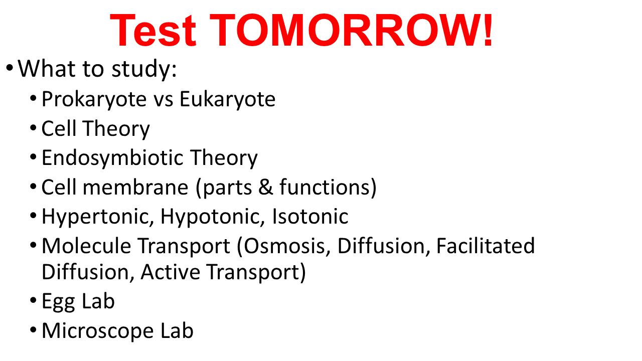 Happy Wednesday 1 Turn In Page 37 Osmosis Practice Problems 5 Test Tomorrow