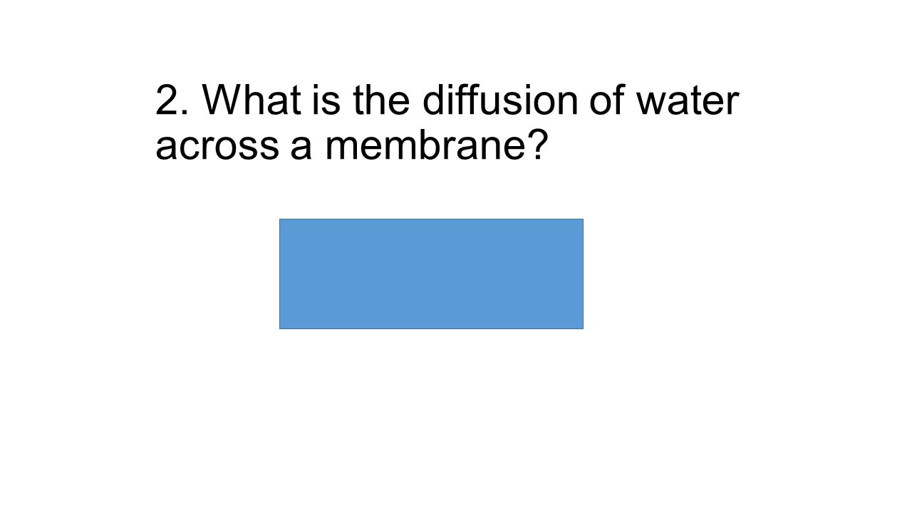 Happy Wednesday 1 Turn In Page 37 Osmosis Practice Problems What Is The Diffusion Of Water Across A Membrane Osmosis