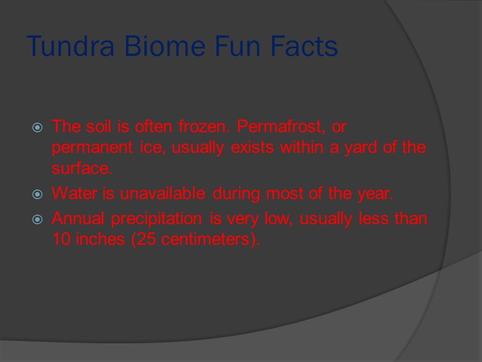facts about the tundra