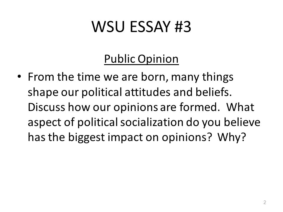 Illustration Essay Example Papers Essays On Mass Media And Public Opinion Essays With Thesis Statements also Thesis Statement Essay Example Essays On Mass Media And Public Opinion Dentistssteelgq High School Argumentative Essay Topics