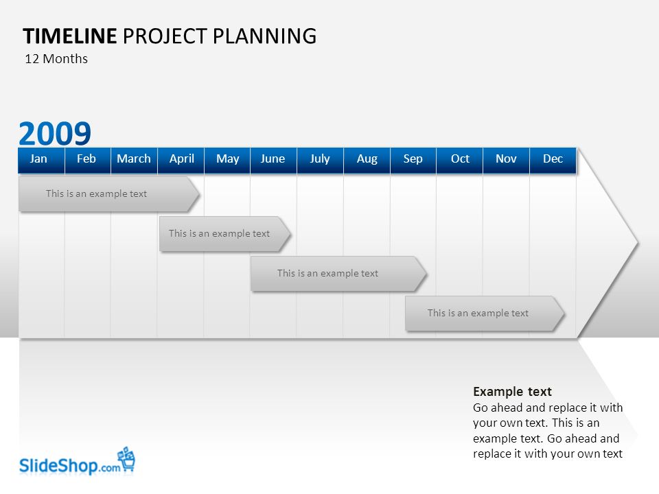 This is an example text TIMELINE PROJECT PLANNING DecOctSepAugJulyJuneAprilMarchFebJanMayNov 12 Months Example text Go ahead and replace it with your own text.