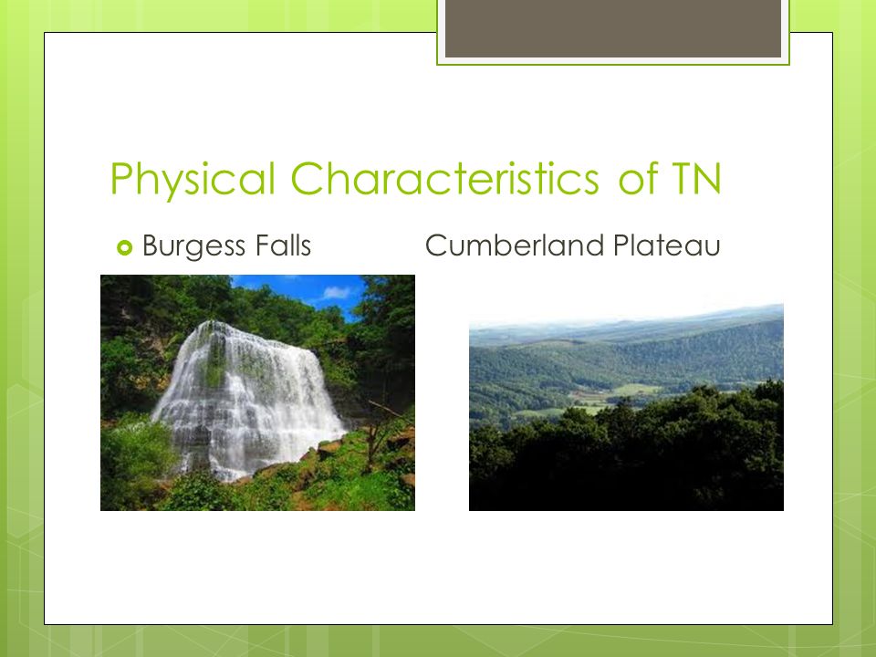 Physical Characteristics of TN  Burgess Falls Cumberland Plateau 