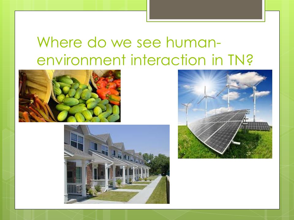 Where do we see human- environment interaction in TN