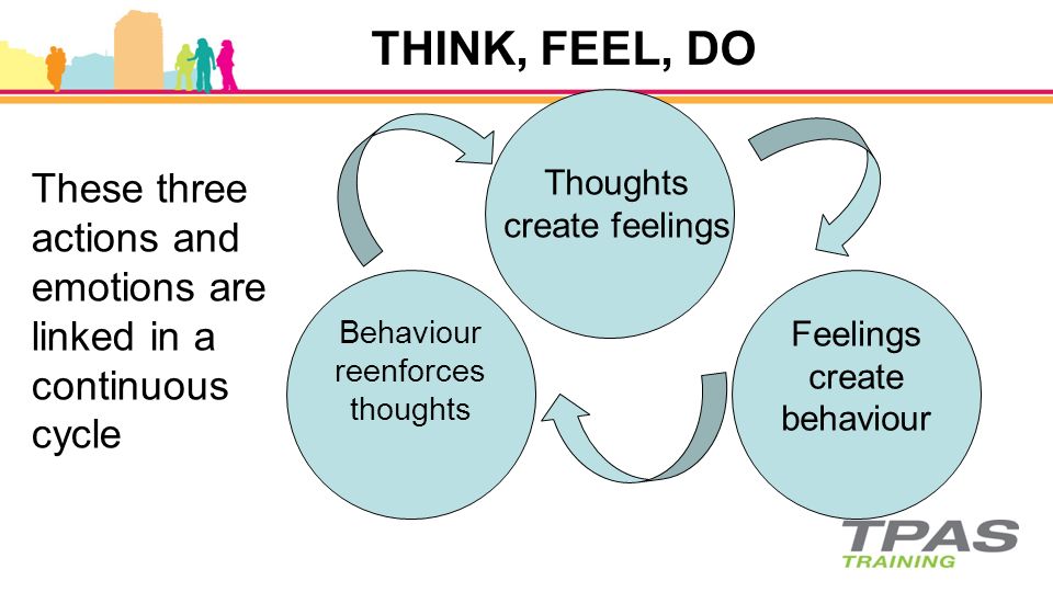 bio cognitive cycle emotion bio cognitive cycle emotion