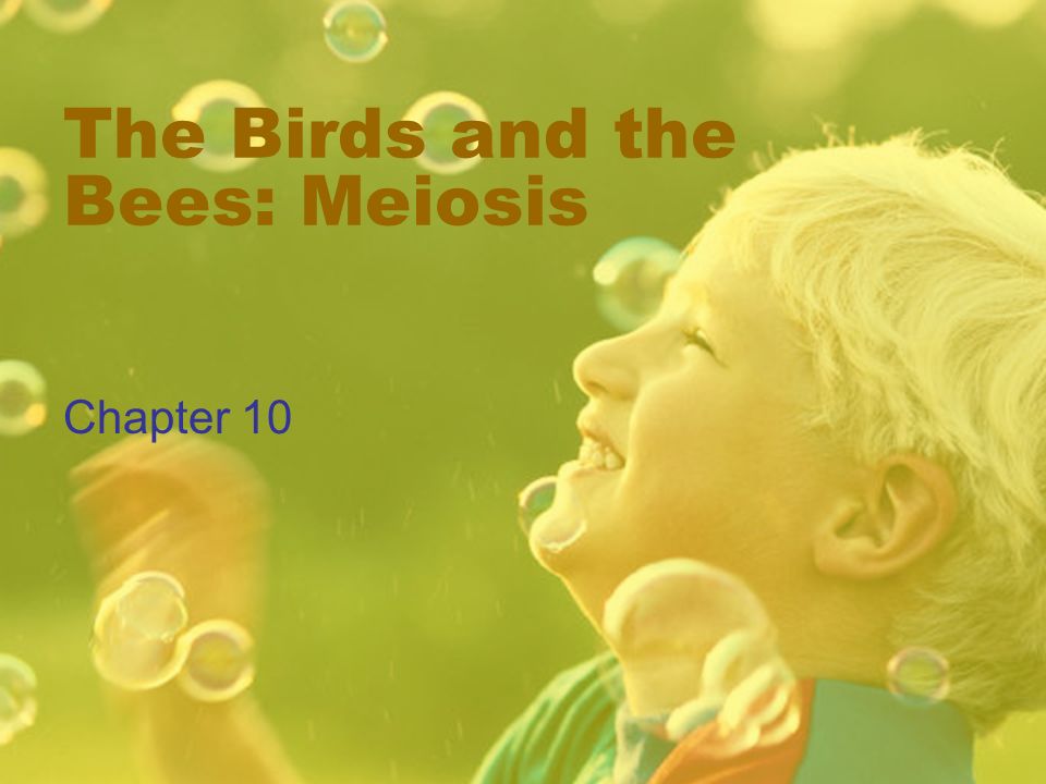 The Birds and the Bees: Meiosis Chapter 10