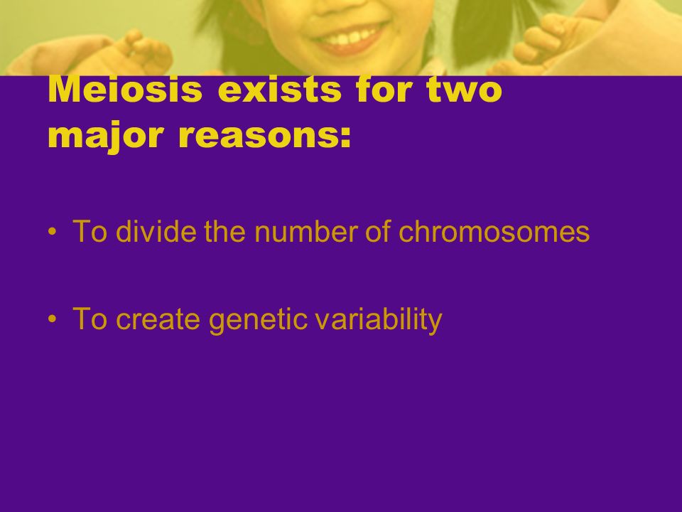 Meiosis exists for two major reasons: To divide the number of chromosomes To create genetic variability