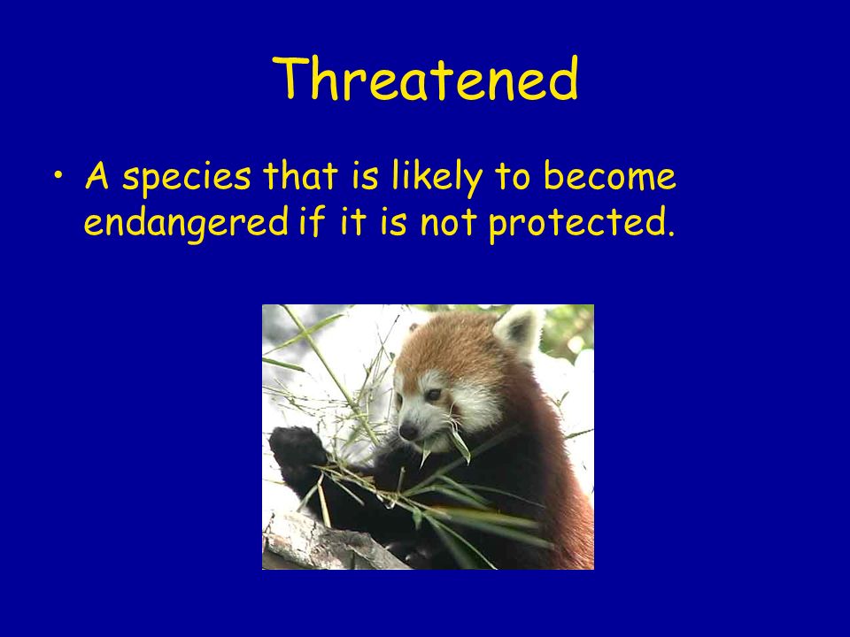Threatened A species that is likely to become endangered if it is not protected.