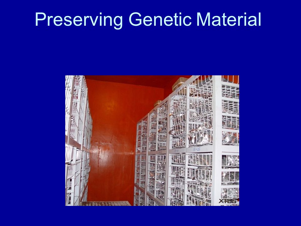 Preserving Genetic Material