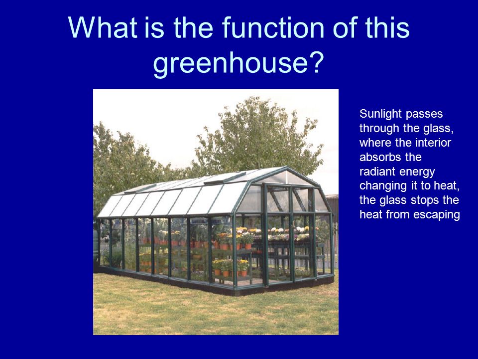 What is the function of this greenhouse.