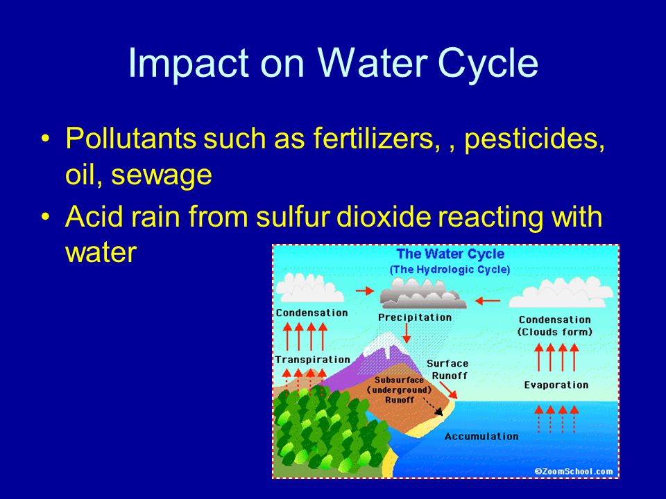 Impact on Water Cycle Pollutants such as fertilizers,, pesticides, oil, sewage Acid rain from sulfur dioxide reacting with water