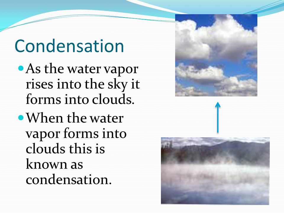 Condensation As the water vapor rises into the sky it forms into clouds.