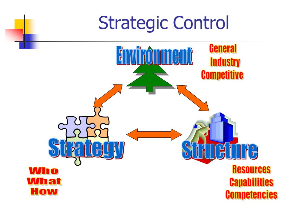 strategic control strategic control