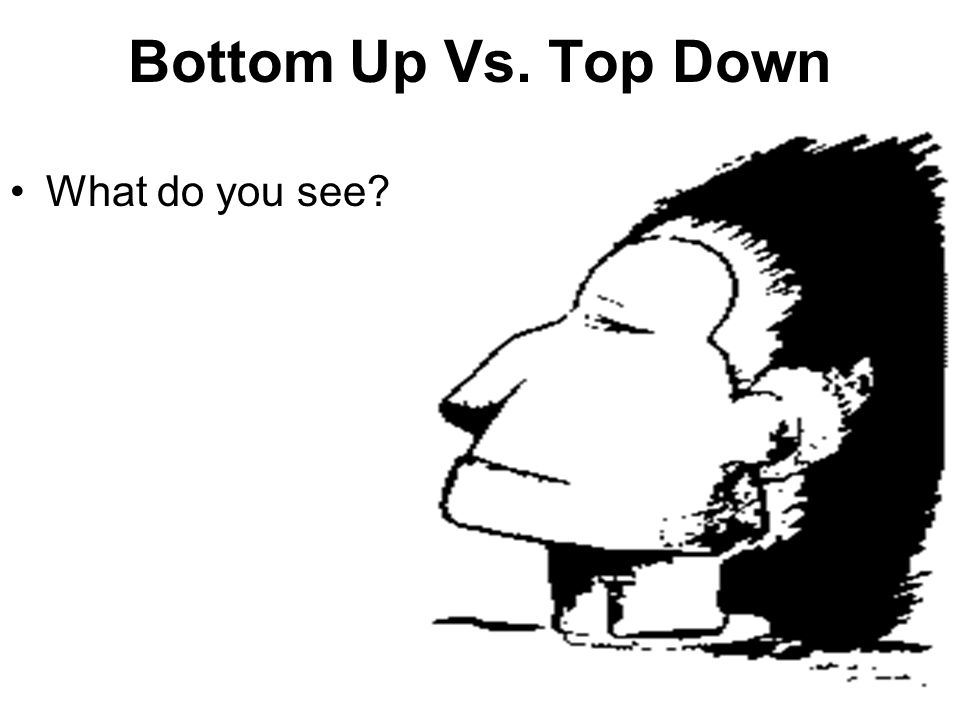 Résultat de recherche d'images pour "« bottom-up perception"