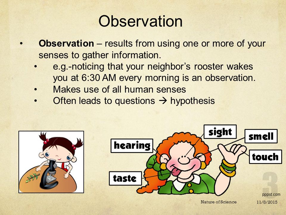 11/8/2015 Nature of Science Observation – results from using one or more of your senses to gather information.