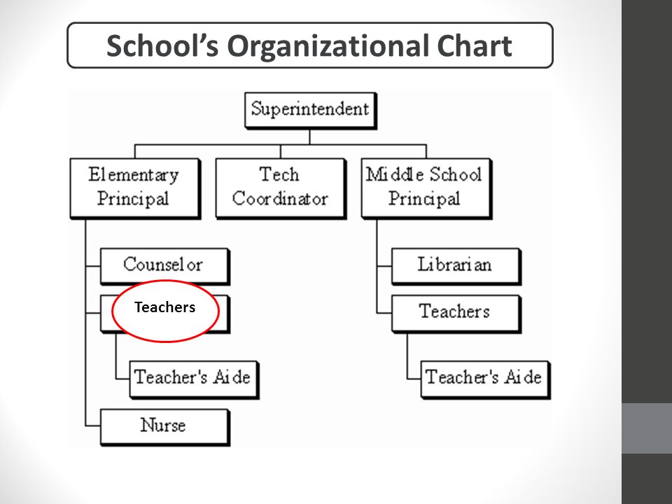 Teachers School’s Organizational Chart