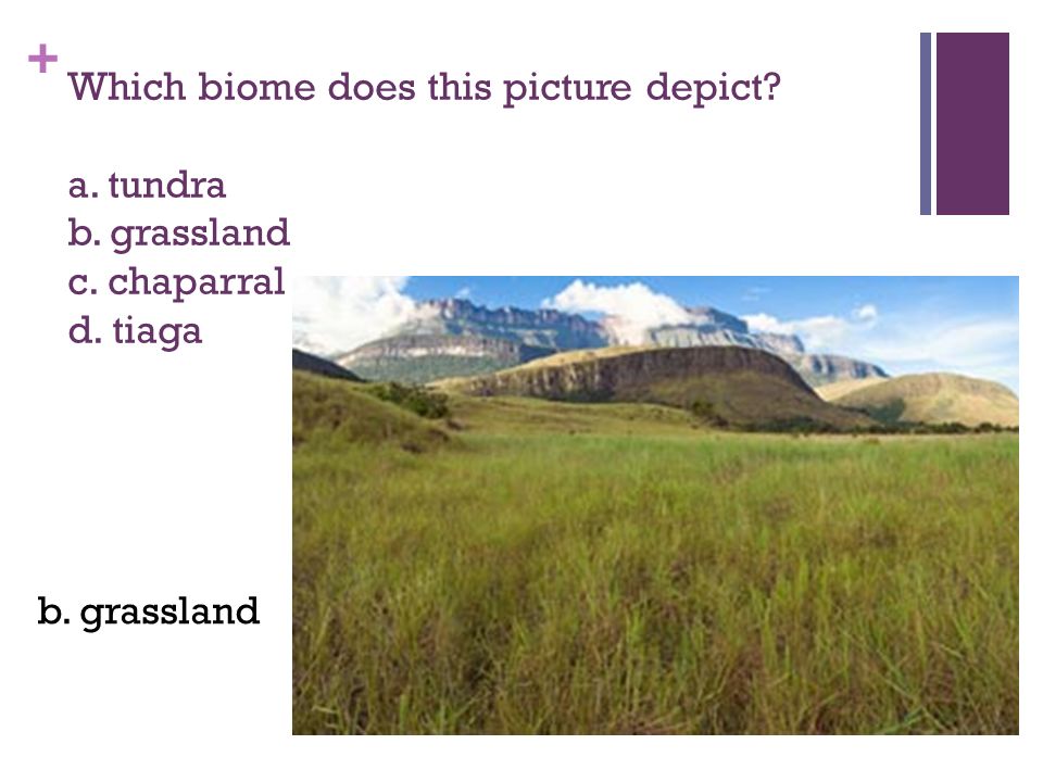 + Which biome does this picture depict a. tundra b. grassland c. chaparral d. tiaga b. grassland
