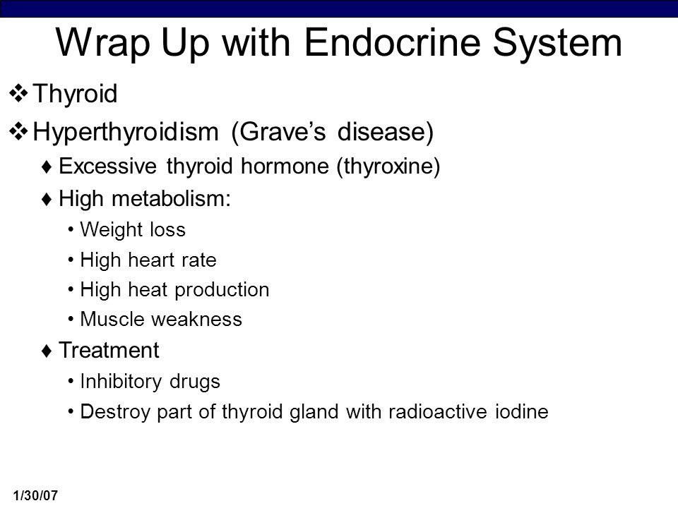 endocrine system notes Quiz human endocrine system biology test prep review literature notes test prep study guides student life. endocrine system notes Quiz human endocrine system biology test prep review literature notes test prep study guides student life.