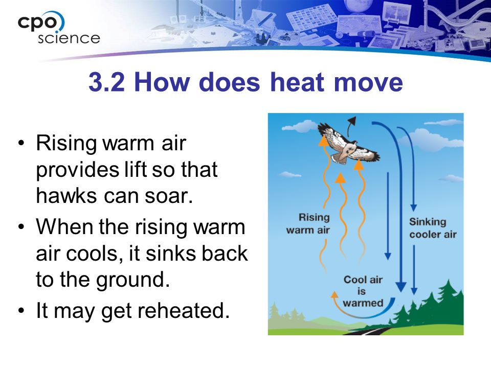 3.2 How does heat move Rising warm air provides lift so that hawks can soar.