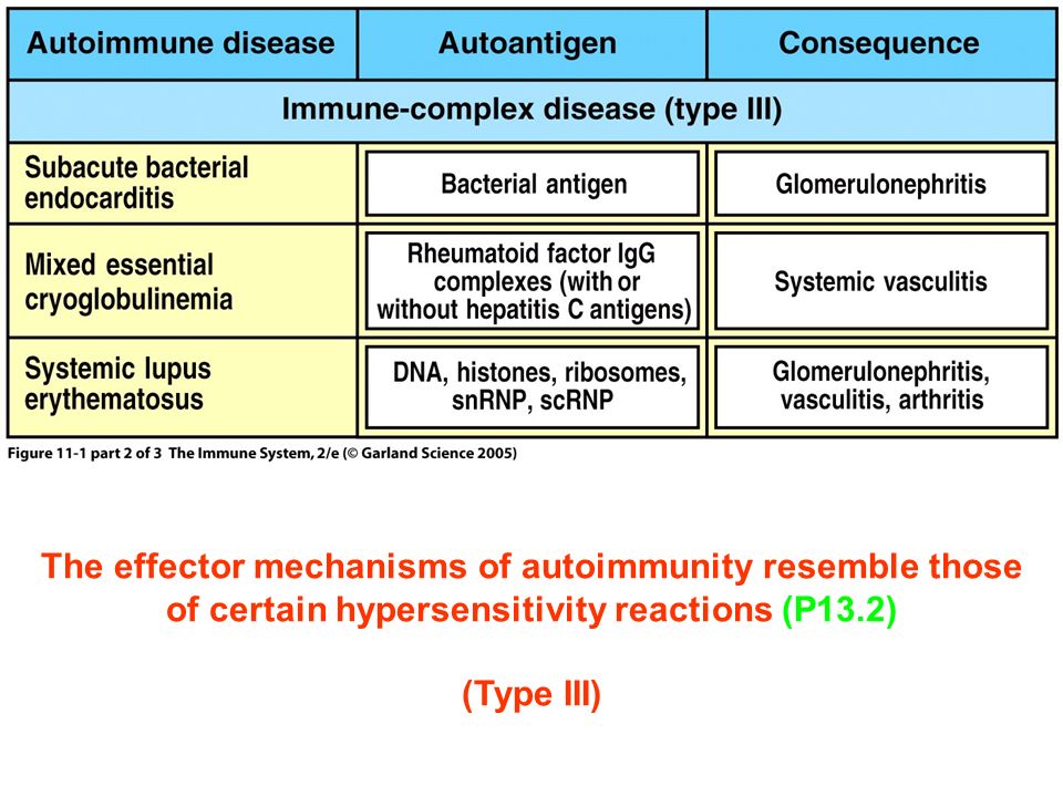 Figure 11-1 part 2 of 3 The effector mechanisms of autoimmunity resemble those of certain hypersensitivity reactions (P13.2) (Type III)
