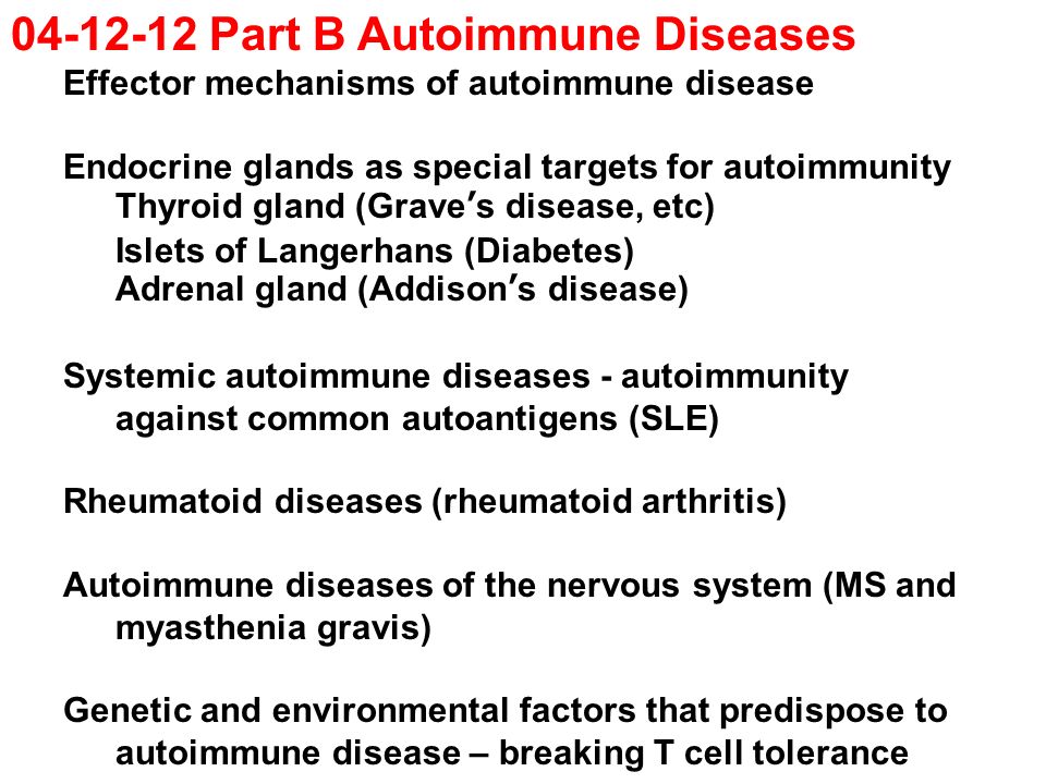 Part B Autoimmune Diseases Effector mechanisms of autoimmune disease Endocrine glands as special targets for autoimmunity Thyroid gland (Grave’s disease, etc) Islets of Langerhans (Diabetes) Adrenal gland (Addison’s disease) Systemic autoimmune diseases - autoimmunity against common autoantigens (SLE) Rheumatoid diseases (rheumatoid arthritis) Autoimmune diseases of the nervous system (MS and myasthenia gravis) Genetic and environmental factors that predispose to autoimmune disease – breaking T cell tolerance
