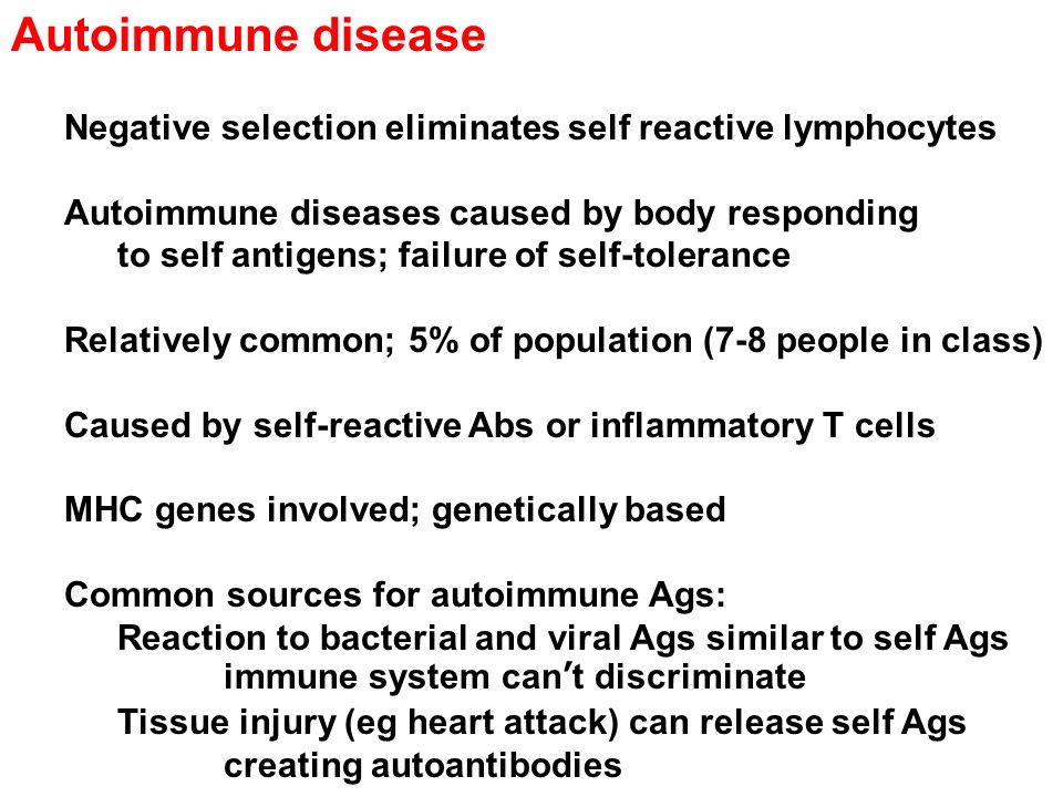 Autoimmune disease Negative selection eliminates self reactive lymphocytes Autoimmune diseases caused by body responding to self antigens; failure of self-tolerance Relatively common; 5% of population (7-8 people in class) Caused by self-reactive Abs or inflammatory T cells MHC genes involved; genetically based Common sources for autoimmune Ags: Reaction to bacterial and viral Ags similar to self Ags immune system can’t discriminate Tissue injury (eg heart attack) can release self Ags creating autoantibodies