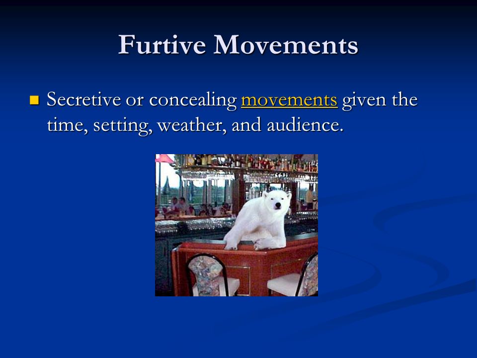 Image result for furtive movements