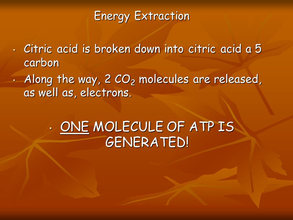 Energy Extraction Citric acid is broken down into citric acid a 5 carbon Citric acid is broken down into citric acid a 5 carbon Along the way, 2 CO 2 molecules are released, as well as, electrons.