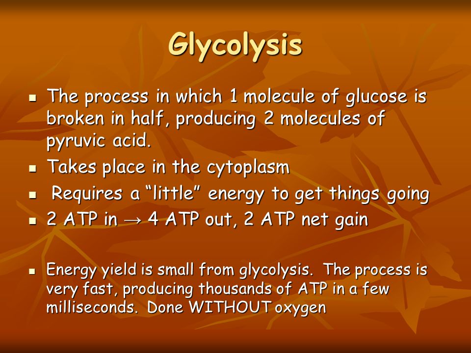 Glycolysis The process in which 1 molecule of glucose is broken in half, producing 2 molecules of pyruvic acid.