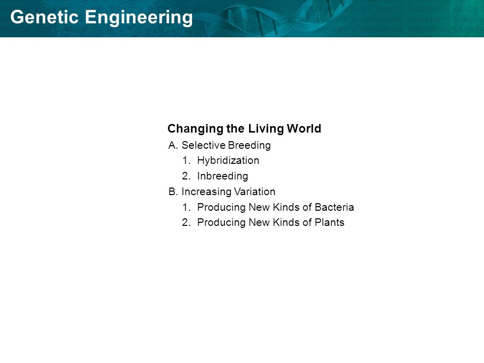 Genetic Engineering Changing The Living World A Selective Breeding Inbreeding B Increasing Variation 1 Producing New Kinds Of Bacteria 2 Plants Section 13 Go To
