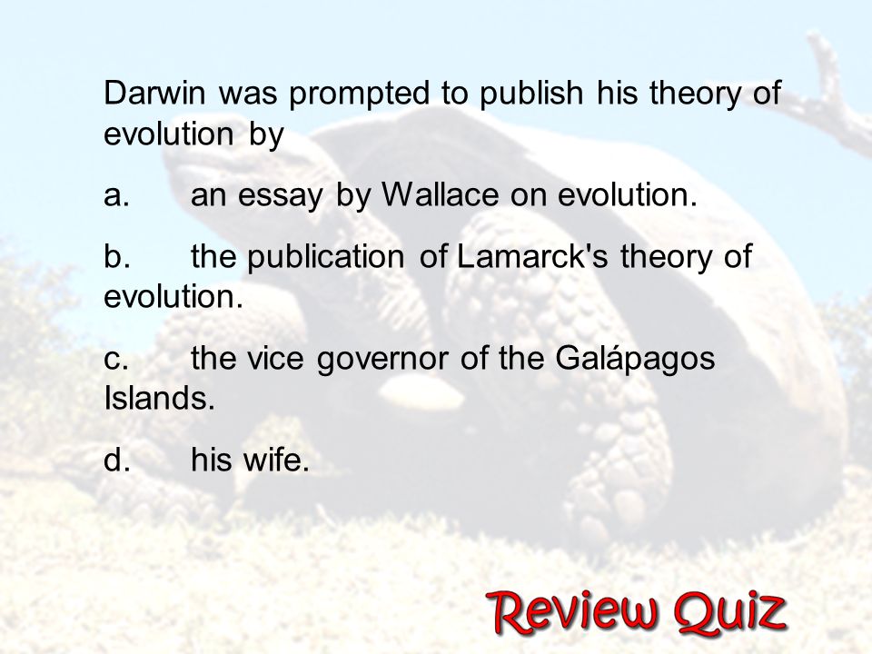 outline and evaluate the slt theory outline and evaluate the slt theory