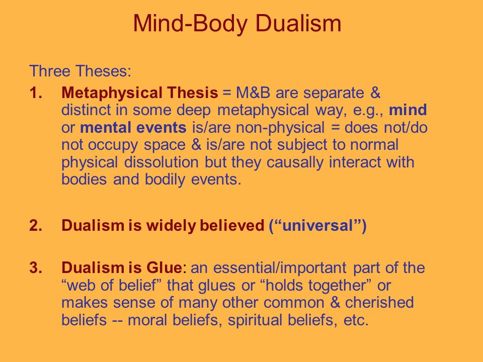 mind or body philosophy paper essay mind or body philosophy paper essay