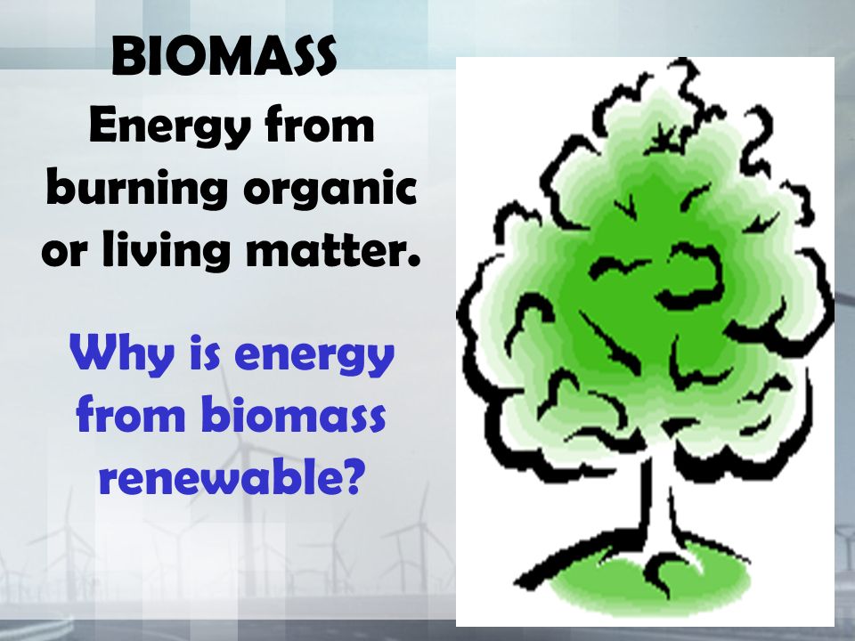 BIOMASS Energy from burning organic or living matter. Why is energy from biomass renewable
