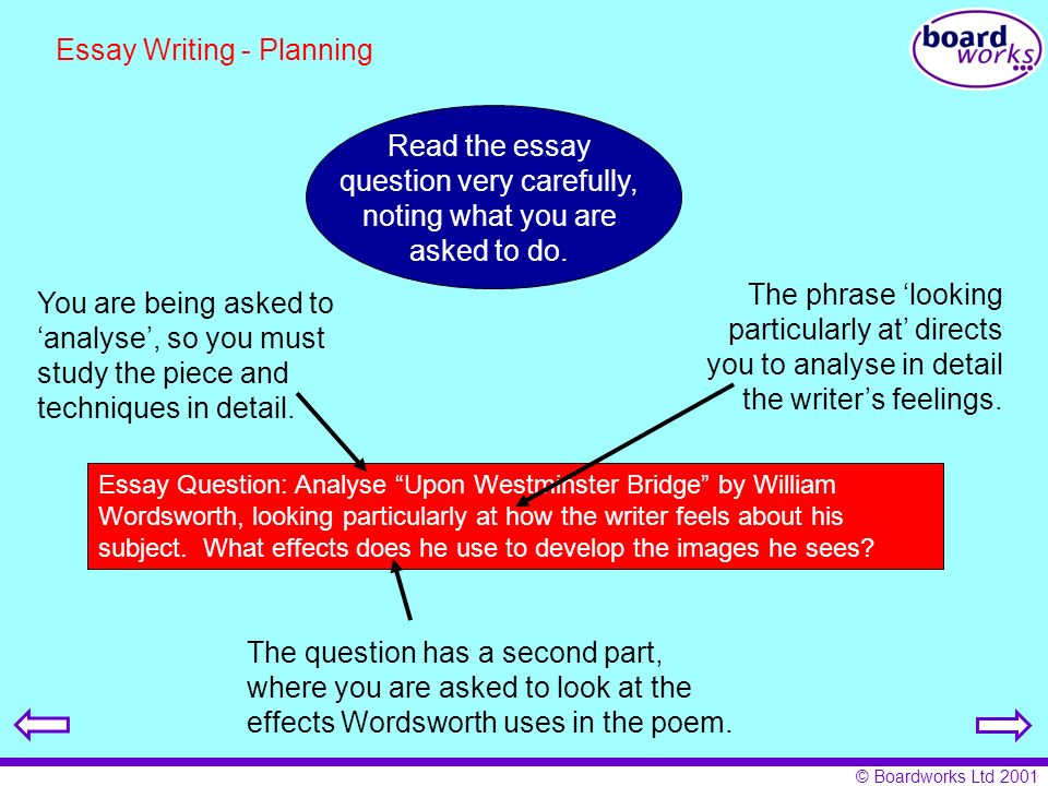 essay question of the day To that end, this resource will help you prepare and write essays for exams welcome to the purdue owl purdue what is a well written answer to an essay question. essay question of the day To that end, this resource will help you prepare and write essays for exams welcome to the purdue owl purdue what is a well written answer to an essay question.