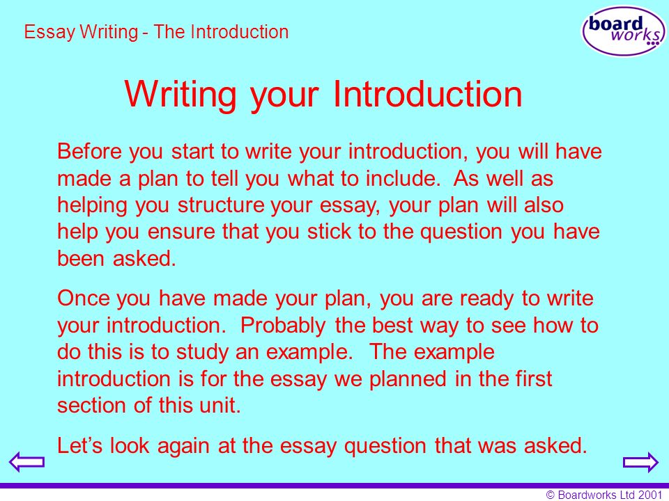 the structure of an essay plan the structure of an essay plan
